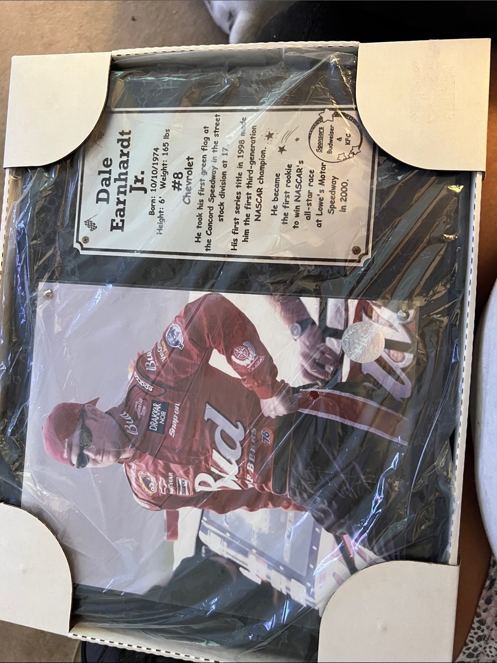 Racing Plaque in Red - Framed Home Accent
